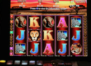 壹号电子娱乐app最新版